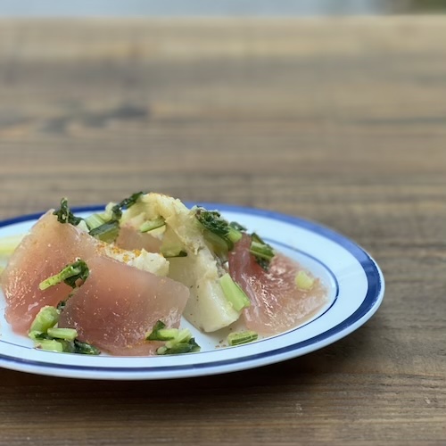 ビンチョウマグロとかぶのアンチョビマリネ　カラスミ